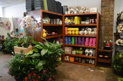 Murfreesboro Flower Shop, business photo 4